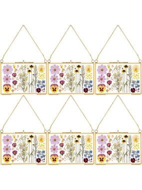 6 Pcs Pressed Flower Frames 4x6 Gold Brass Hanging Double Glass Wall Art Decor